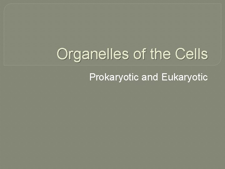 Organelles of the Cells Prokaryotic and Eukaryotic 