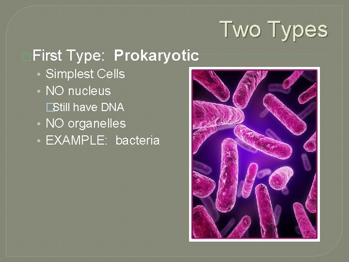 Two Types �First Type: Prokaryotic • Simplest Cells • NO nucleus �Still have DNA