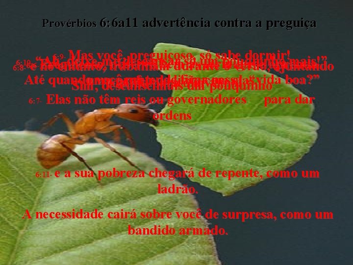 Provérbios 6: 6 a 11 advertência contra a preguiça 6: 9 - Mas você, Provérbios 6: 6 a 11 advertência contra a preguiça 6: 9 - Mas você,