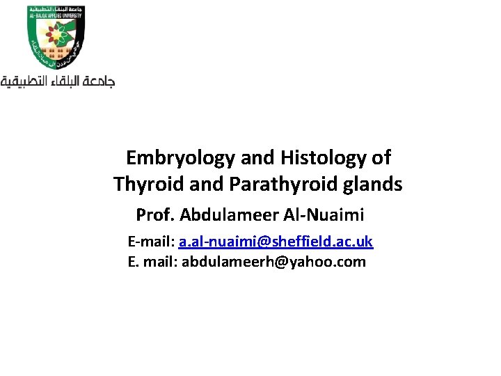 Embryology and Histology of Thyroid and Parathyroid glands Prof. Abdulameer Al-Nuaimi E-mail: a. al-nuaimi@sheffield.