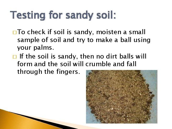 Testing for sandy soil: � To check if soil is sandy, moisten a small