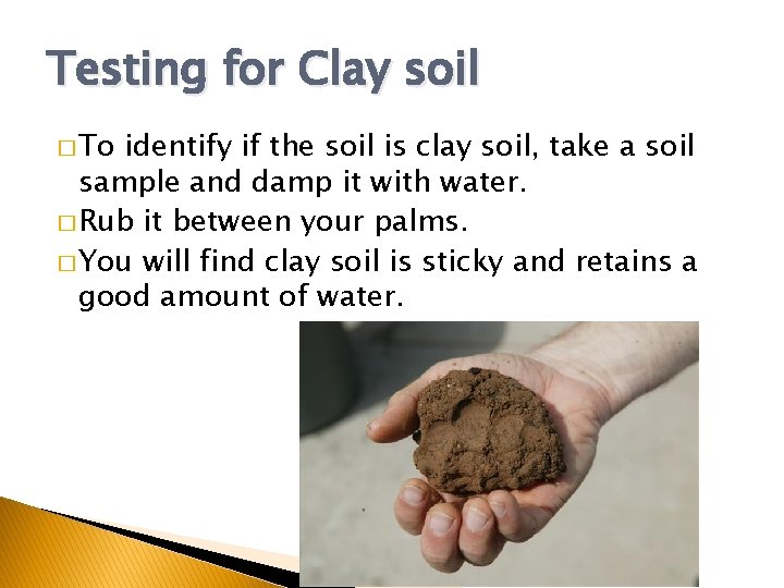 Testing for Clay soil � To identify if the soil is clay soil, take