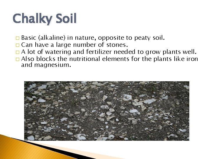 Chalky Soil Basic (alkaline) in nature, opposite to peaty soil. � Can have a