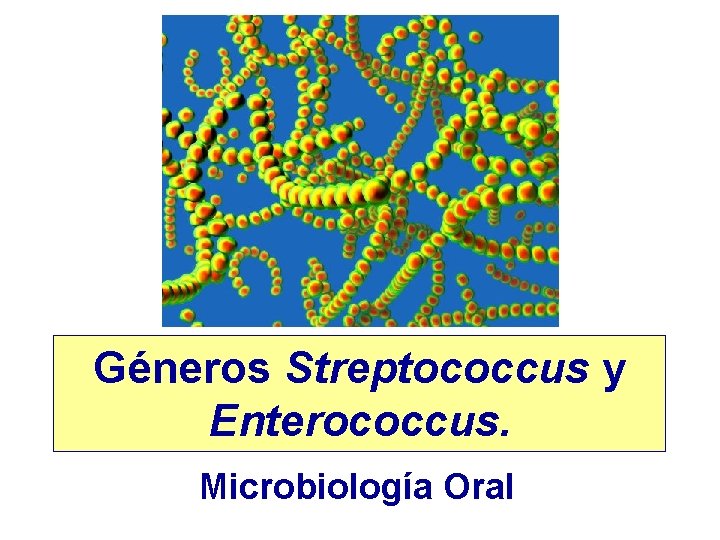 Géneros Streptococcus y Enterococcus. Microbiología Oral 