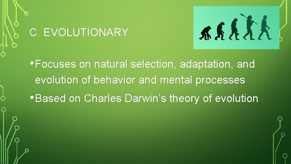 C. EVOLUTIONARY • Focuses on natural selection, adaptation, and evolution of behavior and mental