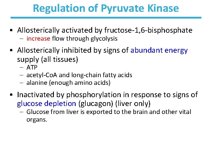 Regulation of Pyruvate Kinase • Allosterically activated by fructose-1, 6 -bisphosphate – increase flow