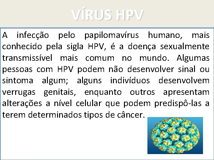 VÍRUS HPV A infecção pelo papilomavírus humano, mais conhecido pela sigla HPV, é a