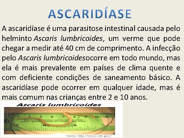 A ascaridíase é uma parasitose intestinal causada pelo helminto Ascaris lumbricoides, um verme que