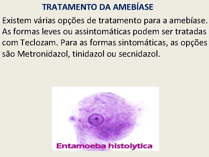 TRATAMENTO DA AMEBÍASE Existem várias opções de tratamento para a amebíase. As formas leves