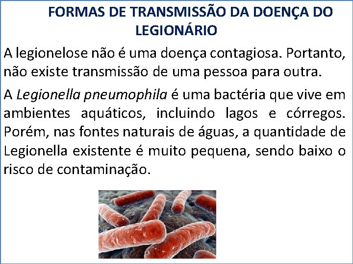 FORMAS DE TRANSMISSÃO DA DOENÇA DO LEGIONÁRIO A legionelose não é uma doença contagiosa.