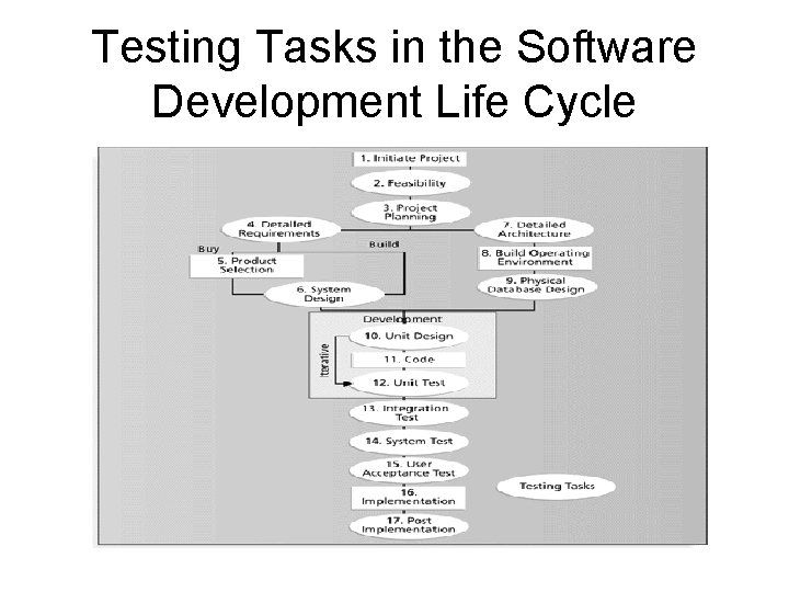 Testing Tasks in the Software Development Life Cycle 