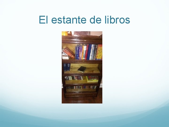 El estante de libros 