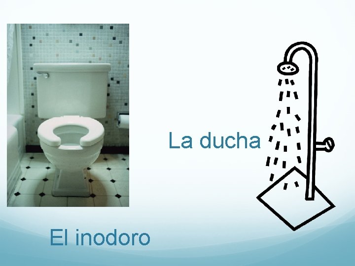 La ducha El inodoro 
