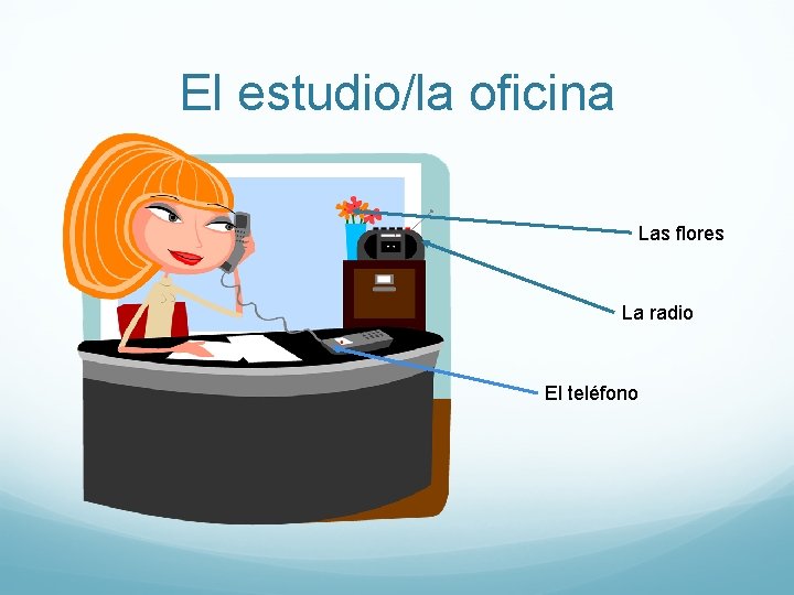 El estudio/la oficina Las flores La radio El teléfono 