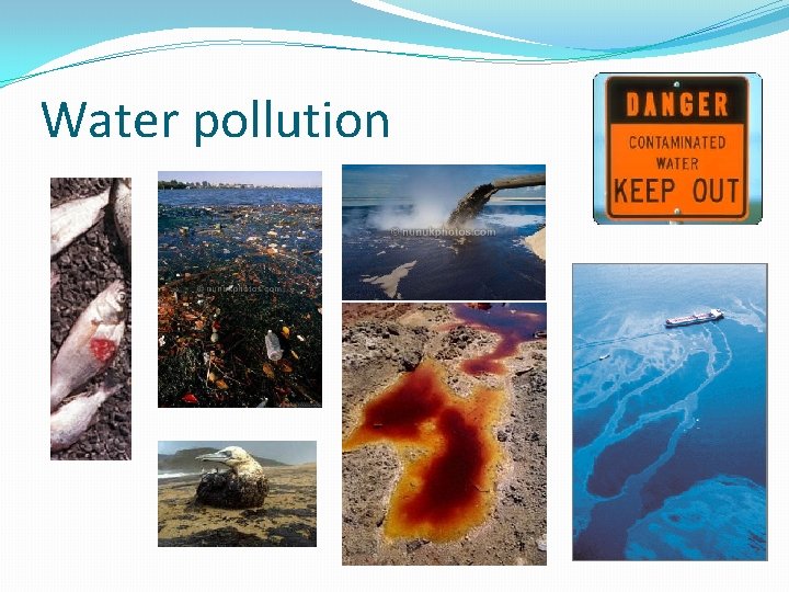 Water pollution 