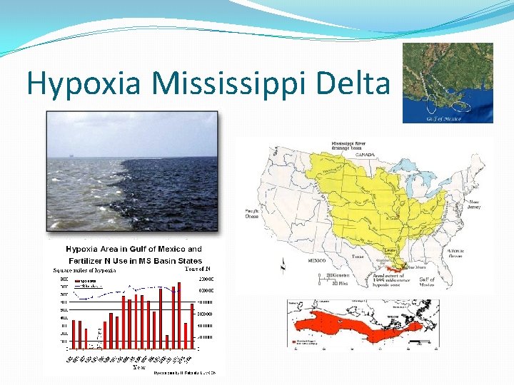 Hypoxia Mississippi Delta 