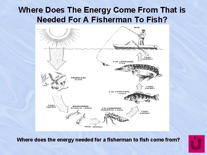Where Does The Energy Come From That is Needed For A Fisherman To Fish?