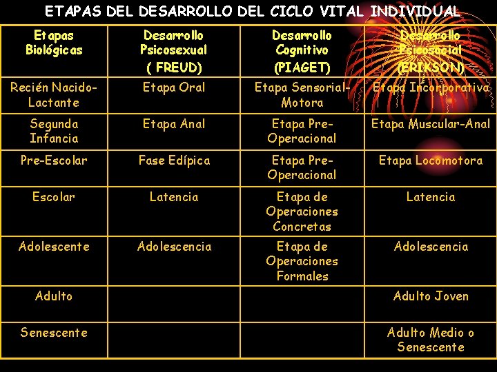 ETAPAS DEL DESARROLLO DEL CICLO VITAL INDIVIDUAL Etapas Biológicas Desarrollo Psicosexual ( FREUD) Desarrollo