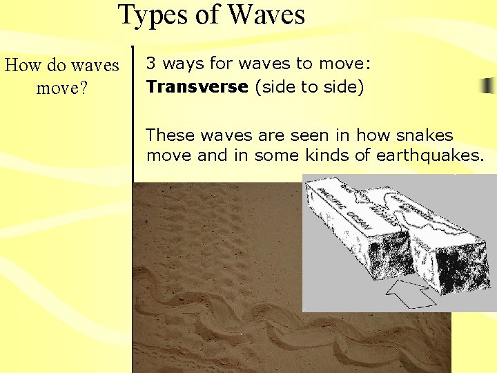 Types of Waves How do waves move? 3 ways for waves to move: Transverse