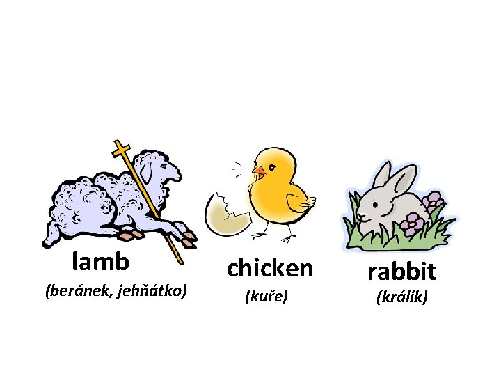 lamb (beránek, jehňátko) chicken (kuře) rabbit (králík) 