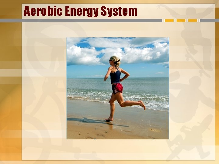 Aerobic Energy System 