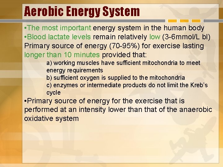 Aerobic Energy System • The most important energy system in the human body •