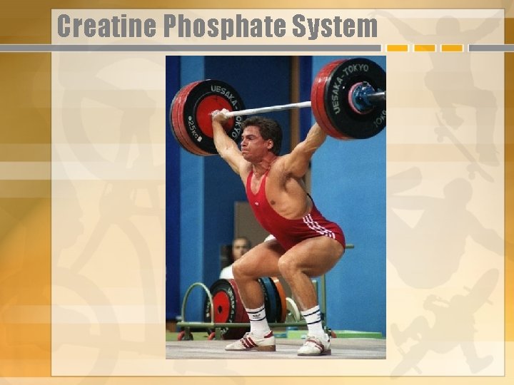 Creatine Phosphate System 