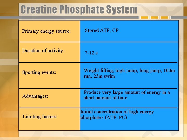 Creatine Phosphate System Primary energy source: Stored ATP, CP Duration of activity: 7 -12