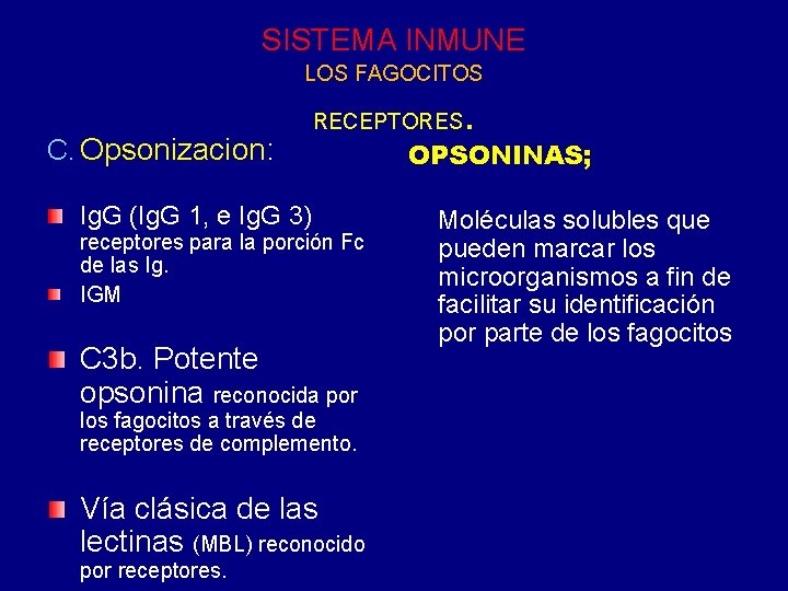 SISTEMA INMUNE LOS FAGOCITOS C. Opsonizacion: Ig. G (Ig. G 1, e Ig. G SISTEMA INMUNE LOS FAGOCITOS C. Opsonizacion: Ig. G (Ig. G 1, e Ig. G