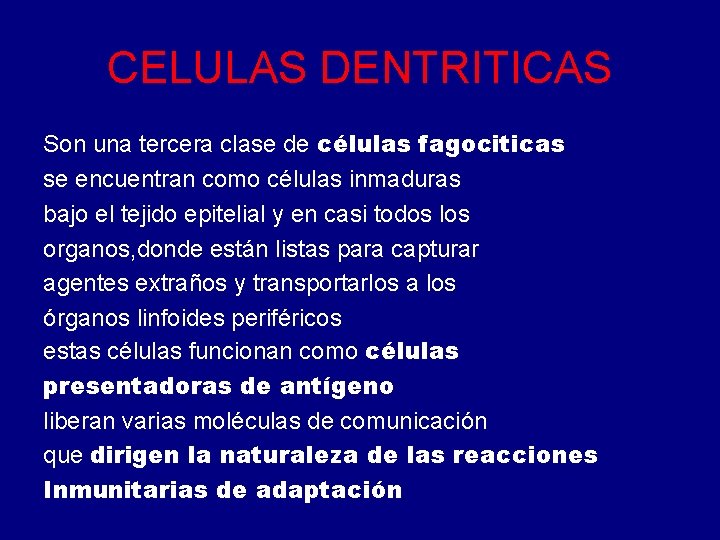 CELULAS DENTRITICAS Son una tercera clase de células fagociticas se encuentran como células inmaduras CELULAS DENTRITICAS Son una tercera clase de células fagociticas se encuentran como células inmaduras