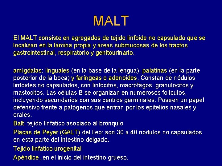 MALT El MALT consiste en agregados de tejido linfoide no capsulado que se localizan MALT El MALT consiste en agregados de tejido linfoide no capsulado que se localizan