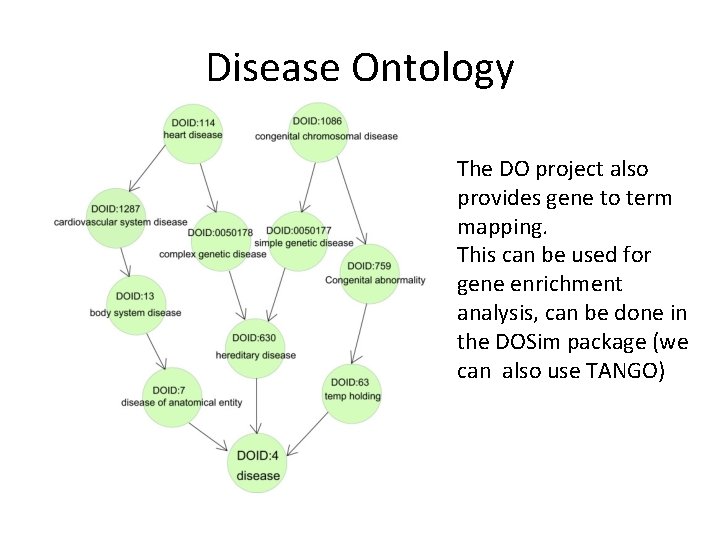 Disease Ontology The DO project also provides gene to term mapping. This can be