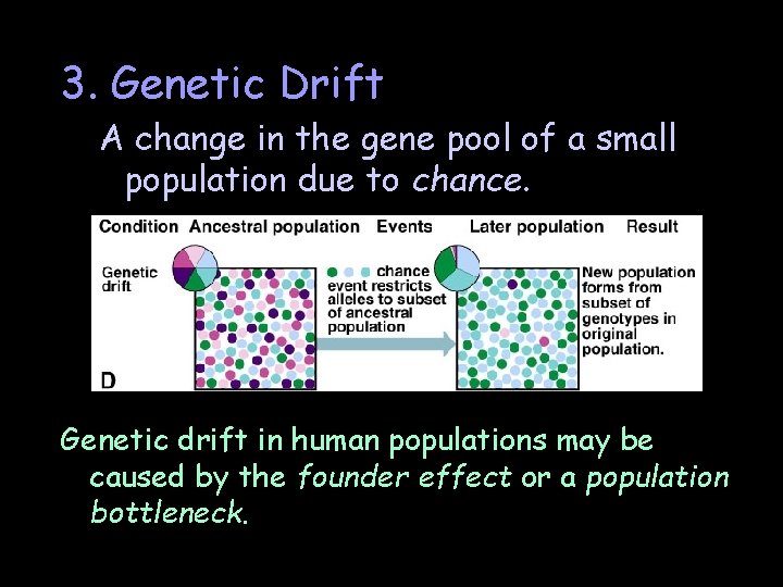 3. Genetic Drift A change in the gene pool of a small population due 3. Genetic Drift A change in the gene pool of a small population due