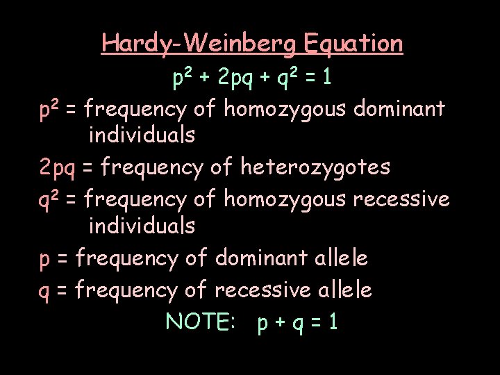 Hardy-Weinberg Equation p 2 + 2 pq + q 2 = 1 p 2 Hardy-Weinberg Equation p 2 + 2 pq + q 2 = 1 p 2