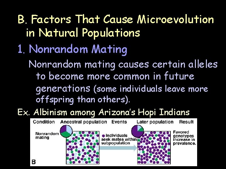 B. Factors That Cause Microevolution in Natural Populations 1. Nonrandom Mating Nonrandom mating causes B. Factors That Cause Microevolution in Natural Populations 1. Nonrandom Mating Nonrandom mating causes
