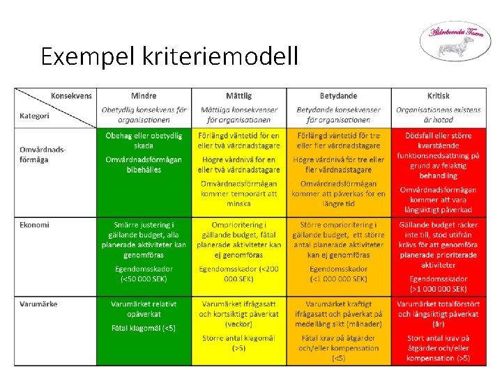 Exempel kriteriemodell 11 