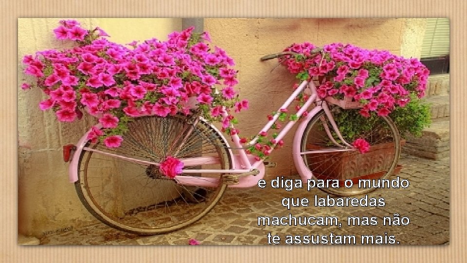 e diga para o mundo que labaredas machucam, mas não te assustam mais. 