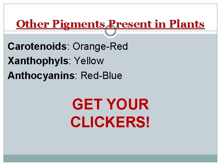 Other Pigments Present in Plants Carotenoids: Orange-Red Xanthophyls: Yellow Anthocyanins: Red-Blue GET YOUR CLICKERS!
