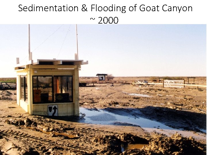 Sedimentation & Flooding of Goat Canyon ~ 2000 