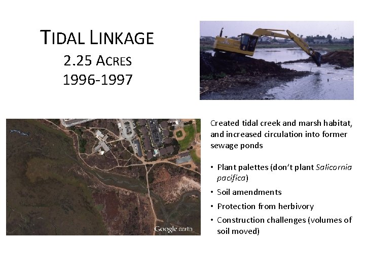 TIDAL LINKAGE 2. 25 ACRES 1996 -1997 Created tidal creek and marsh habitat, and