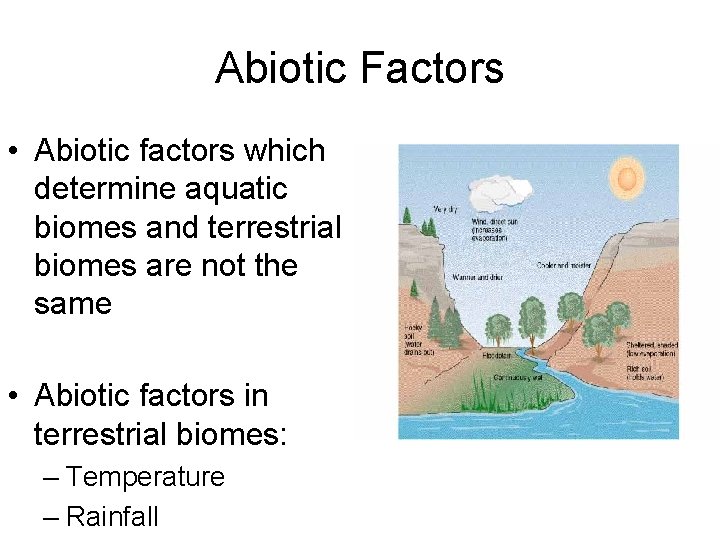 Abiotic Factors • Abiotic factors which determine aquatic biomes and terrestrial biomes are not