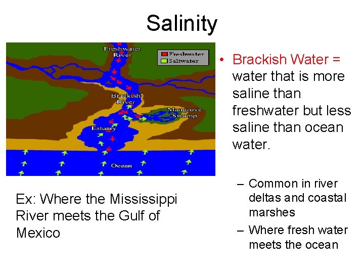 Salinity • Brackish Water = water that is more saline than freshwater but less