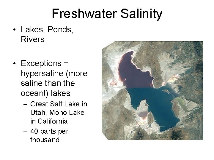 Freshwater Salinity • Lakes, Ponds, Rivers • Exceptions = hypersaline (more saline than the