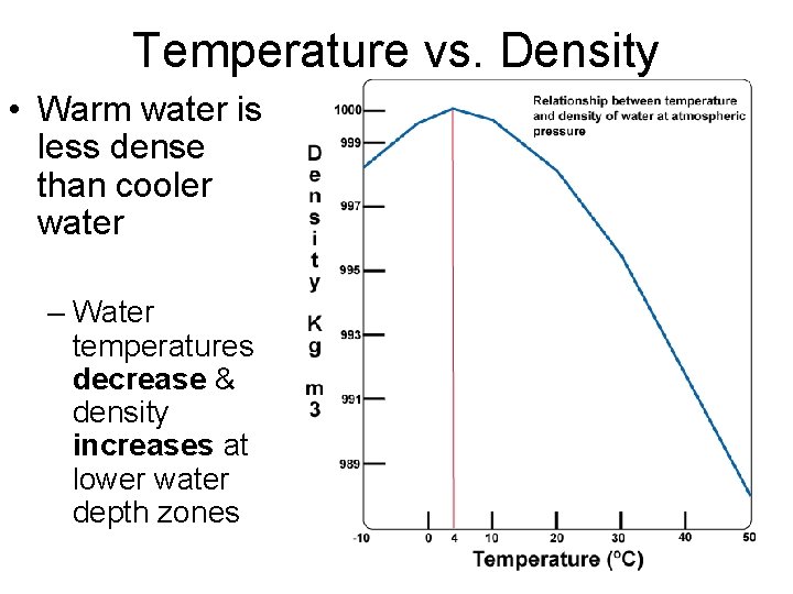 Temperature vs. Density • Warm water is less dense than cooler water – Water