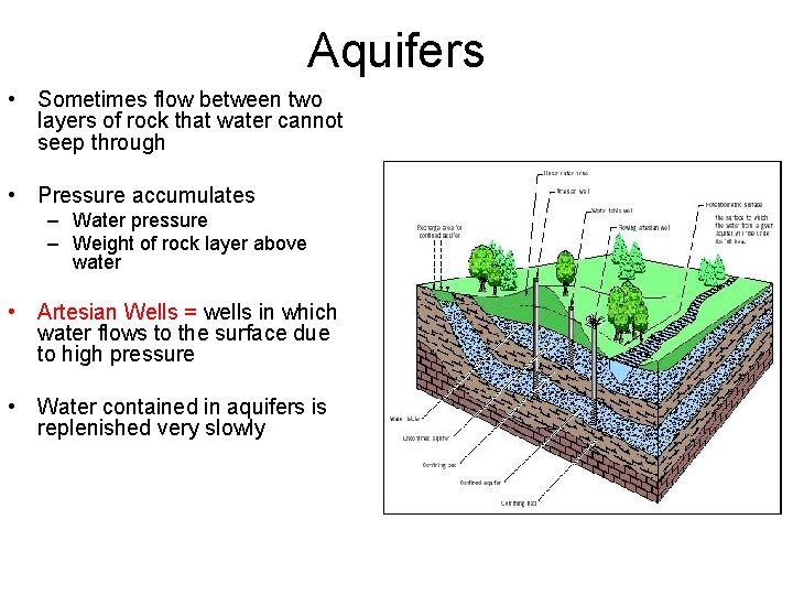 Aquifers • Sometimes flow between two layers of rock that water cannot seep through