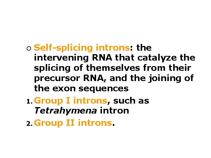 Self-splicing introns: the intervening RNA that catalyze the splicing of themselves from their precursor