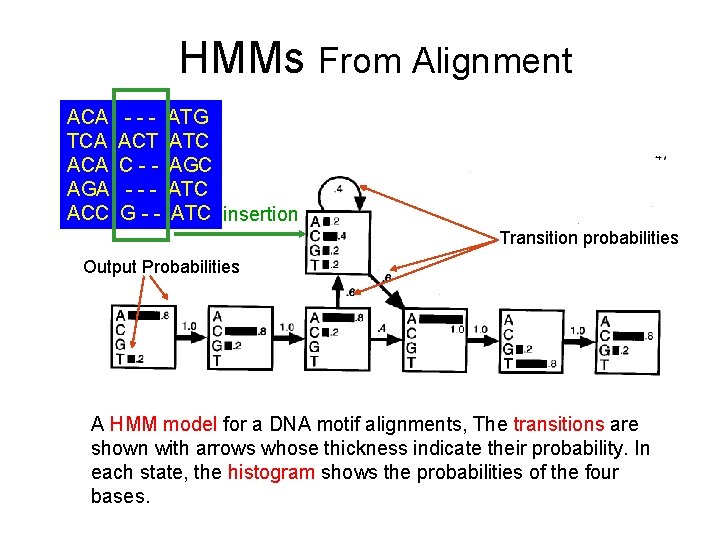 HMMs From Alignment ACA TCA AGA ACC --ACT C---G-- ATG ATC AGC ATC insertion