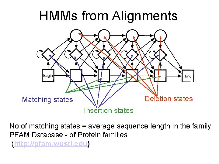 HMMs from Alignments Deletion states Matching states Insertion states No of matching states =