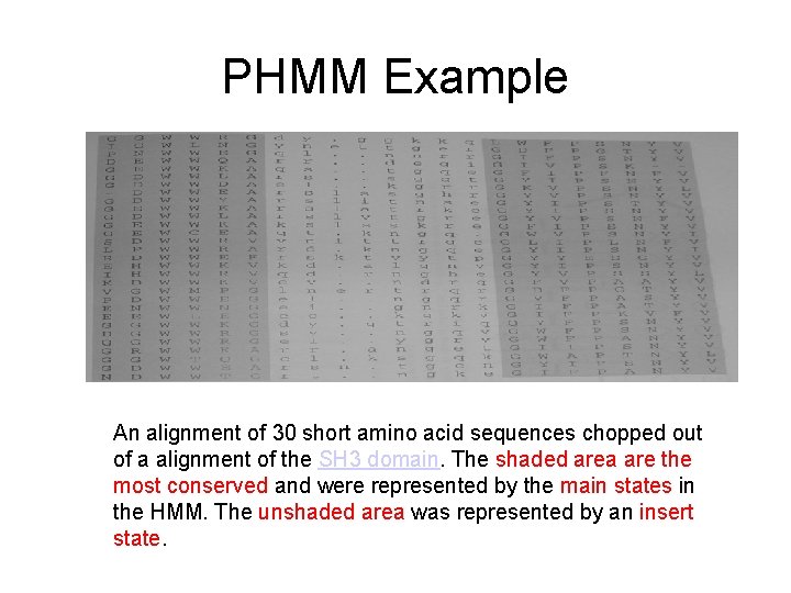 PHMM Example An alignment of 30 short amino acid sequences chopped out of a