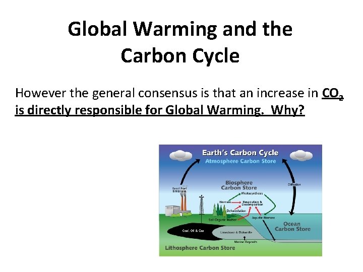 Global Warming and the Carbon Cycle However the general consensus is that an increase